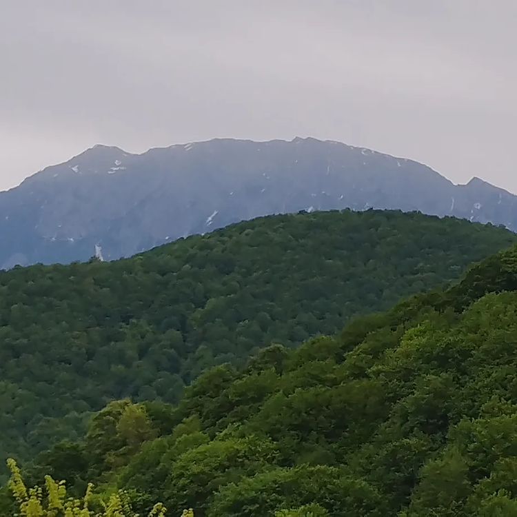 اسکولک گیلان